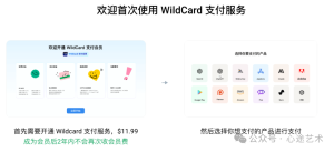 订阅充值 ChatGPT Plus会员步骤